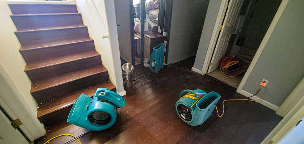 Best Water damage cleanup near me  in Ruthers, CA