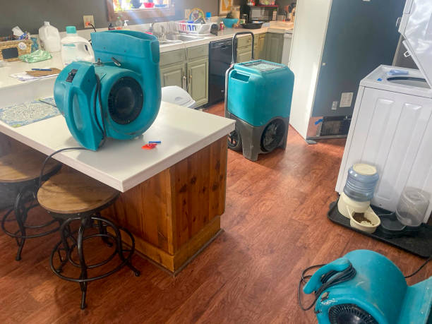 Best Ceiling water damage repair  in Ruthers, CA