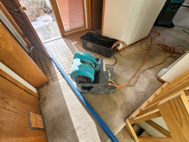 Best Carpet water damage restoration  in Ruthers, CA