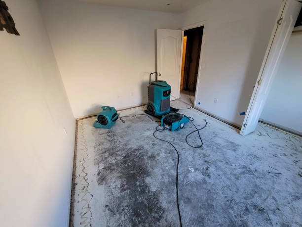 Best Residential water damage restoration  in Ruthers, CA