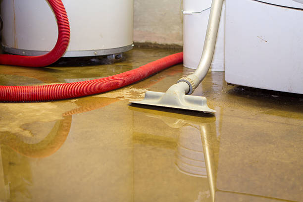  Ruthers, CA Water damage restoration Pros