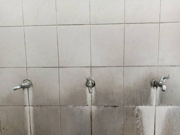 Best Water damage restoration near me  in Ruthers, CA