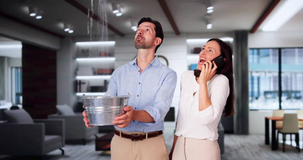 Best Ceiling water damage repair  in Ruthers, CA