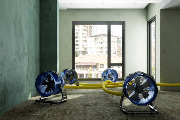 Best Carpet water damage restoration  in Ruthers, CA